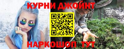 шишки Гагарин