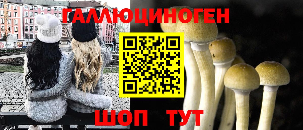 Галлюциногенные грибы GOLDEN TEACHER  Вход с VPN  Берёзовский 